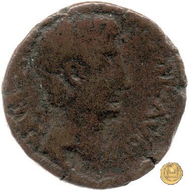 CLM527 25-23 BC (Emerita)