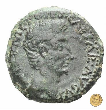 CLM528 25-23 BC (Emerita)