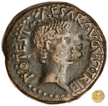 CLM529 25-23 BC (Emerita)