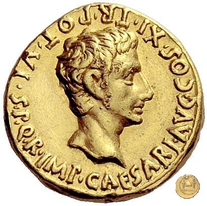 CLM52 18-17 BC (Colonia Patricia?)