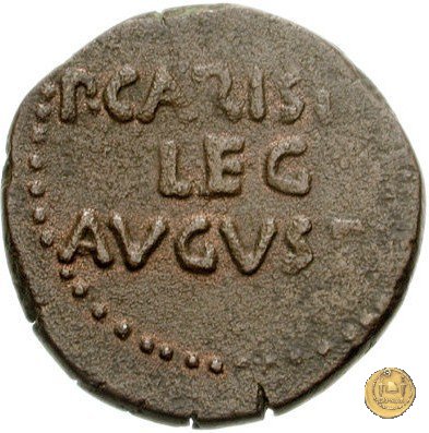 CLM530 25-23 BC (Emerita)