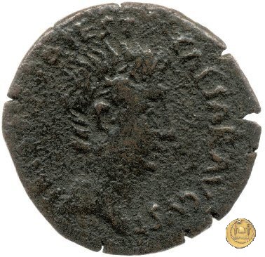 CLM530 25-23 BC (Emerita)