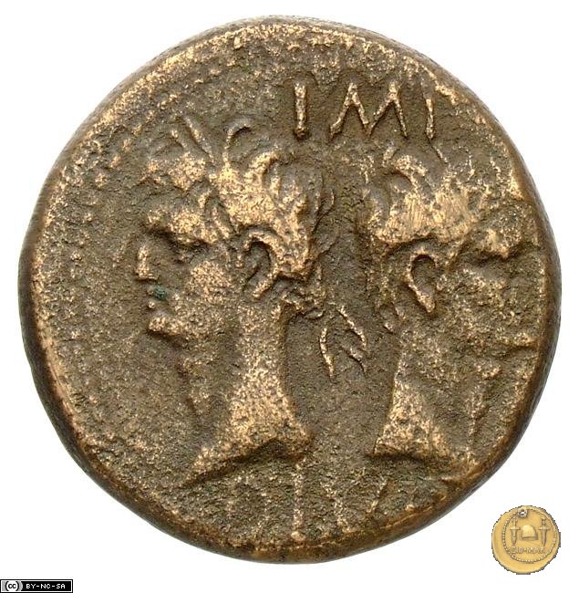 CLM532 20-10 BC (Nemausus)