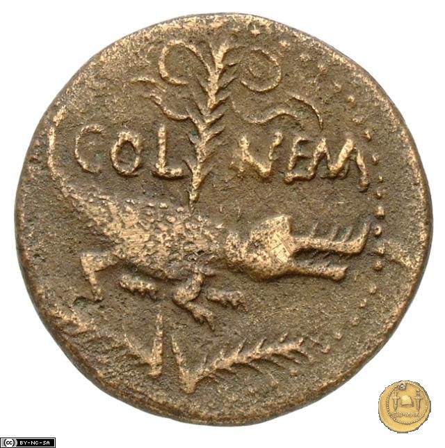 CLM532 20-10 BC (Nemausus)