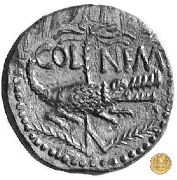 CLM532 20-10 BC (Nemausus)