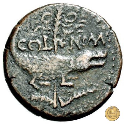 CLM533 20-10 BC (Nemausus)