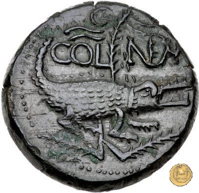 CLM534 20-10 a.C. (Nemausus)