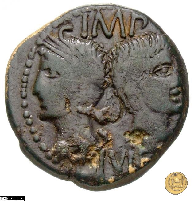 CLM534 20-10 BC (Nemausus)