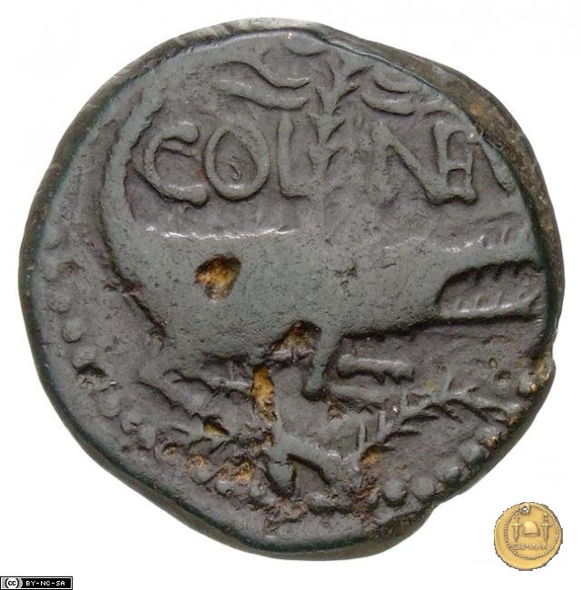 CLM534 20-10 BC (Nemausus)