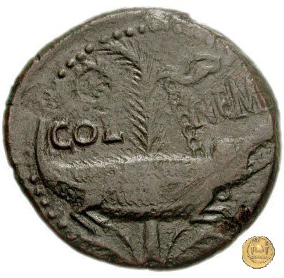 CLM536 10-14 AD (Nemausus)