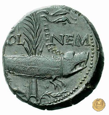 CLM537 10-14 AD (Nemausus)