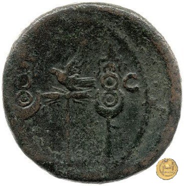 CLM543 68 AD (Roma)