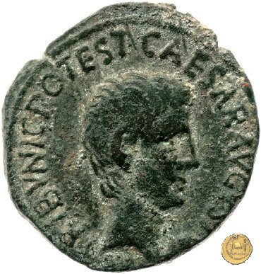 CLM546 16 BC (Roma)