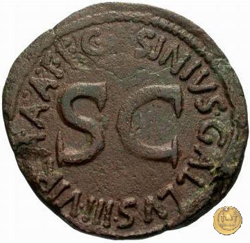 CLM546 16 BC (Roma)