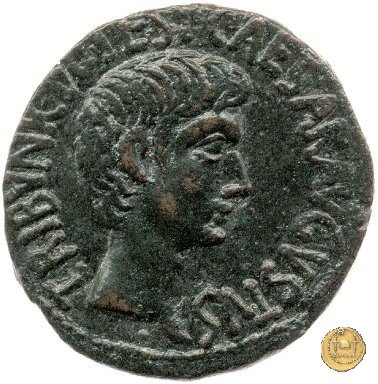 CLM547 16 BC (Roma)