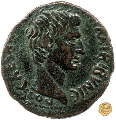 CLM549 7 BC (Roma)