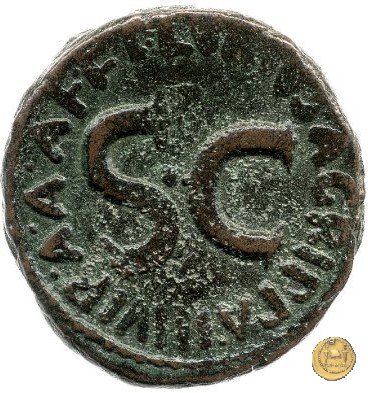 CLM549 7 BC (Roma)