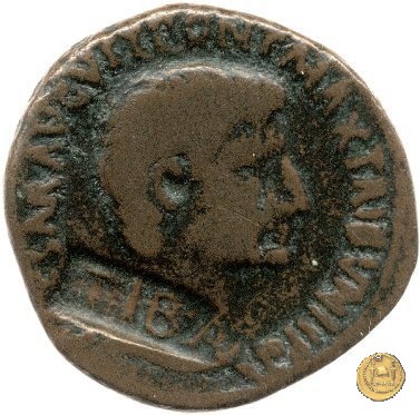 CLM551 7 BC (Roma)