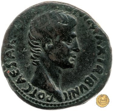 CLM551 7 BC (Roma)