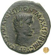 CLM554 7 BC (Roma)
