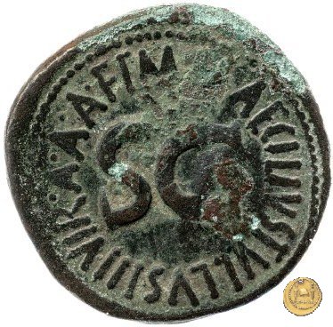 CLM554 7 BC (Roma)