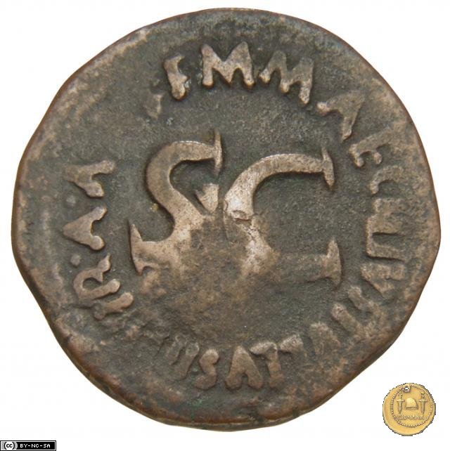 CLM554 7 BC (Roma)