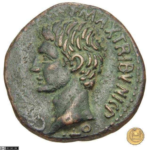 CLM555 7 BC (Roma)