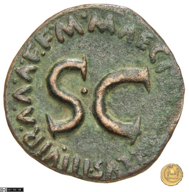 CLM555 7 BC (Roma)