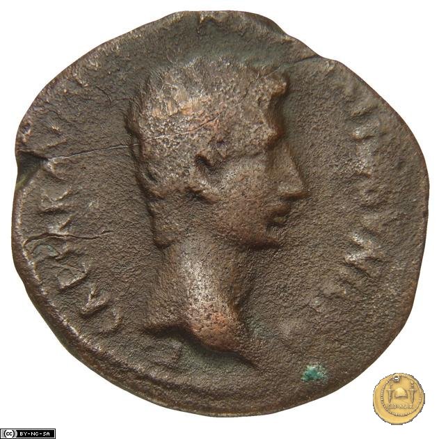 CLM558 6 BC (Roma)