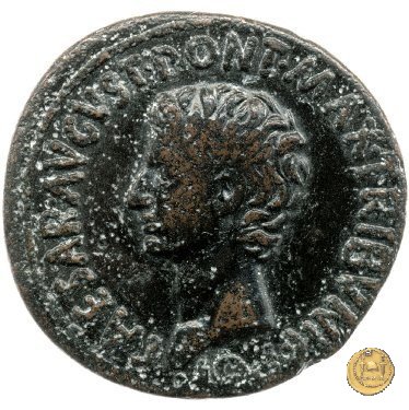 CLM559 6 BC (Roma)