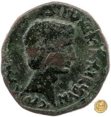 CLM560 6 BC (Roma)