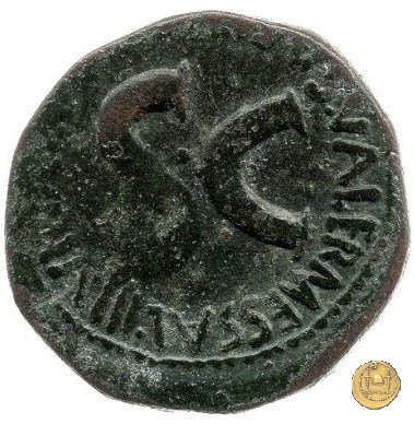 CLM560 6 BC (Roma)