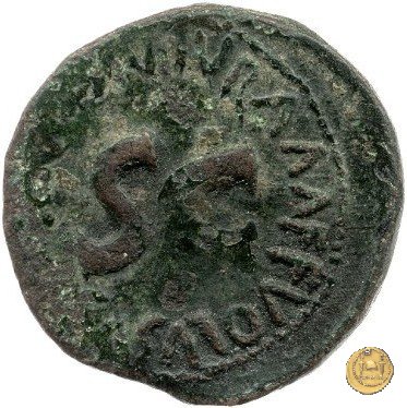 CLM562 6 BC (Roma)