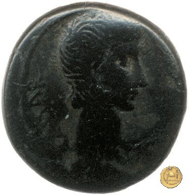 CLM566 25 BC (Ephesus)