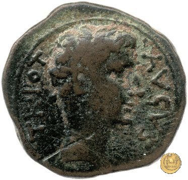 CLM570 28-15 BC (Pergamum)