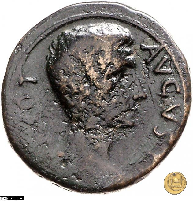 CLM570 28-15 a.C. (Pergamum)