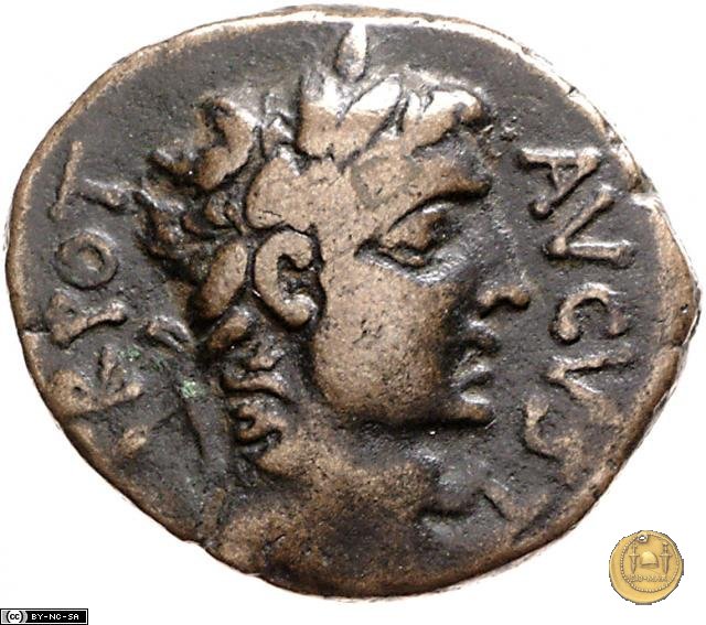 CLM571 28-15 BC (Pergamum)