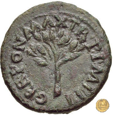 CLM574 62 AD (Roma)