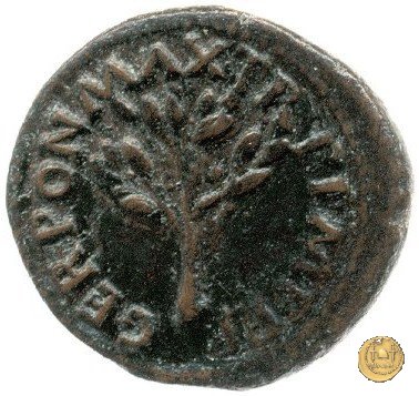 CLM574 62 AD (Roma)