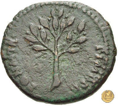CLM575 62 d.C. (Roma)