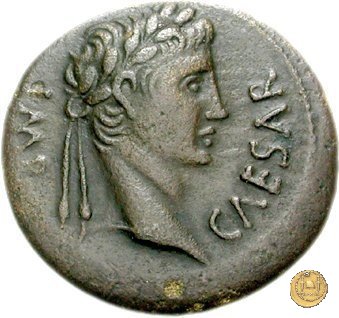 CLM577 15-10 BC (Lugdunum)