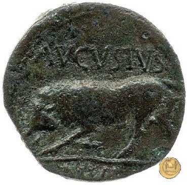 CLM578 15-10 BC (Lugdunum)