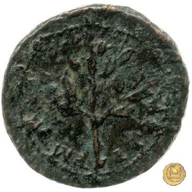 CLM578 63 AD (Roma)