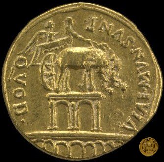 CLM57 18-16 BC (Colonia Patricia?)