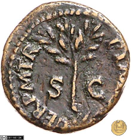 CLM582 64 AD (Roma)