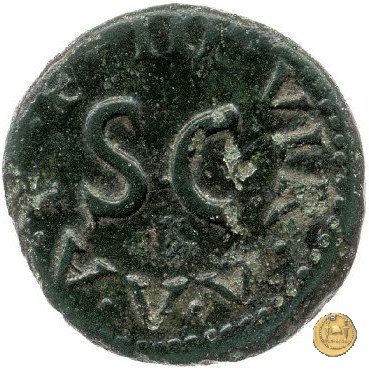 CLM583 8 BC (Roma)