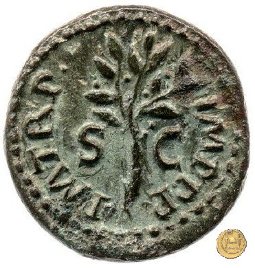 CLM584 64 AD (Roma)