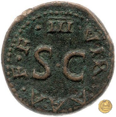 CLM584 8 BC (Roma)