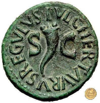 CLM585 8 BC (Roma)