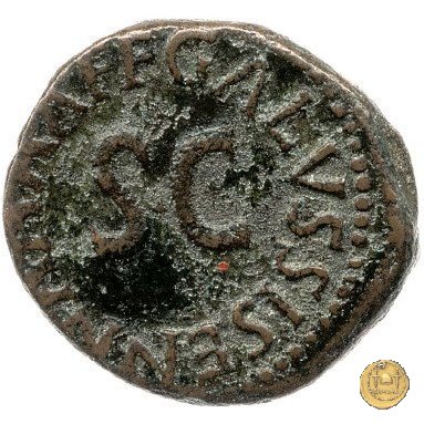 CLM586 5 BC (Roma)